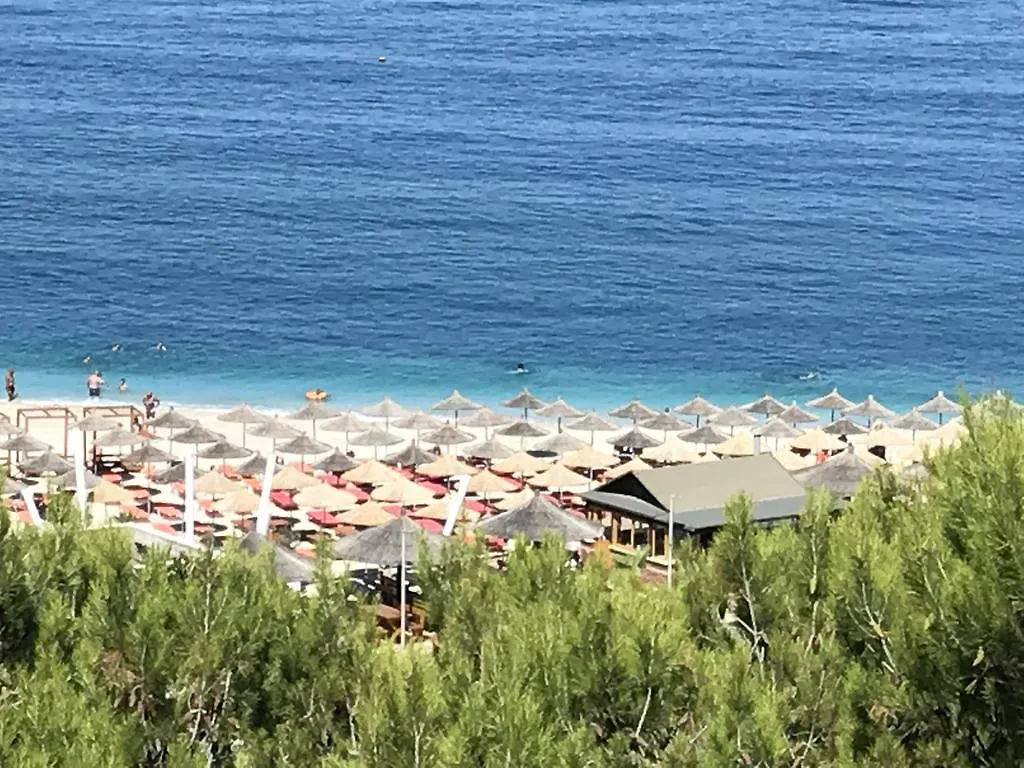Mango Beach Apartment Saranda